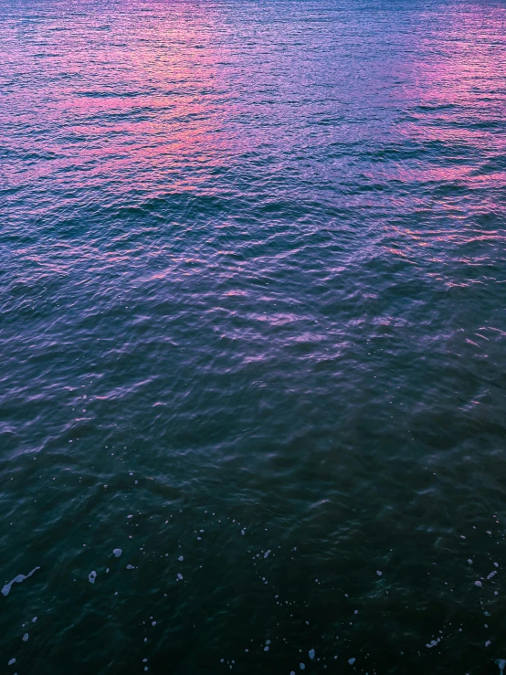 a large body of water with a sunset in the background, inspired by Elsa Bleda, unsplash, happening, purple and pink and blue neons, alternate album cover, a close up shot, ocean pattern