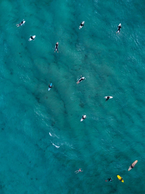 a group of people swimming in the ocean, by Carey Morris, pexels contest winner, bird\'s eye view, standing on surfboards, blue hues, thumbnail