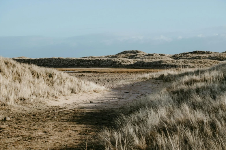 a dirt path in the middle of a grassy field, unsplash, land art, windy beach, background image, heath clifford, rocky desert