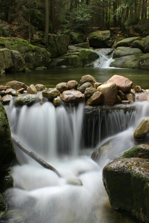 a stream running through a lush green forest, pexels contest winner, floating rocks, lower saxony, cascading, abel tasman