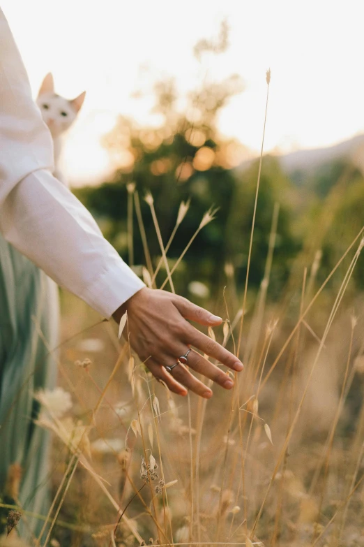 a woman standing in a field with a cat on her shoulder, trending on unsplash, romanticism, photo of a hand jewellery model, sleek hands, late summer evening, grass and weeds