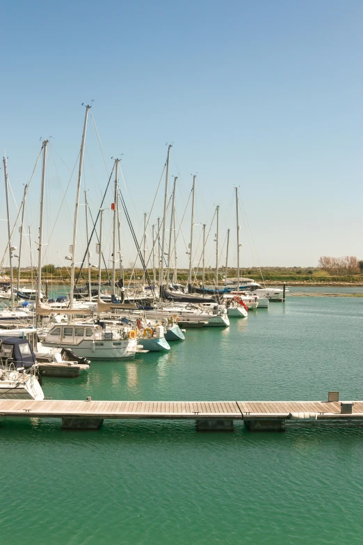 a number of boats in a body of water, northern france, boat dock, sitting down, slightly sunny weather