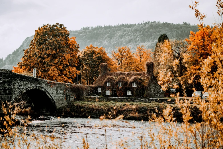 a stone bridge over a river surrounded by trees, by Andrew Allan, pexels contest winner, thatched roof, tweed colour scheme, 🍂 cute, thumbnail