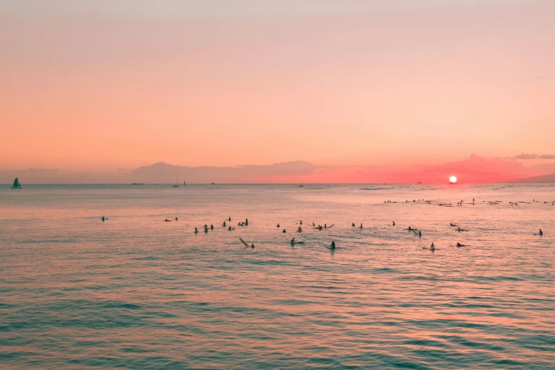 a group of people swimming in the ocean at sunset, by Robbie Trevino, pexels contest winner, minimalism, manila, redpink sunset, big crowd, hd footage