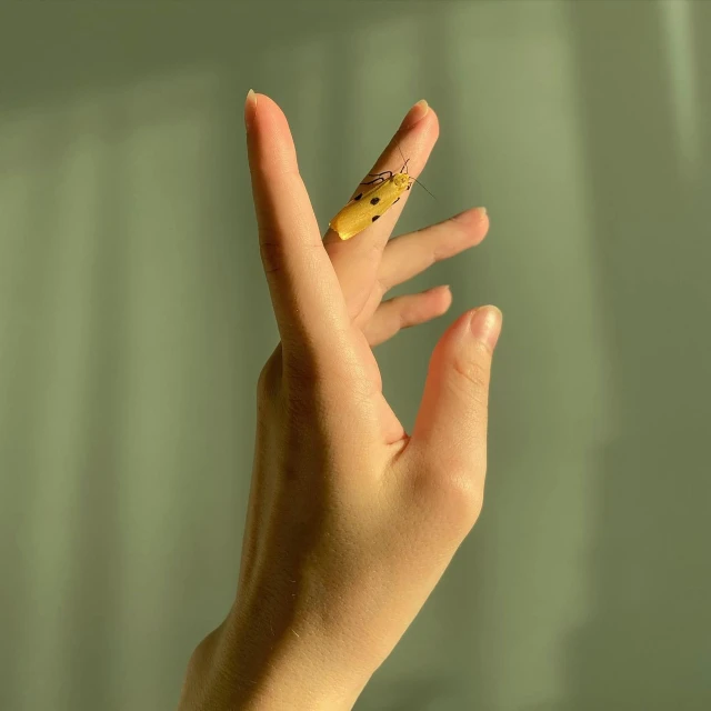 a person making a peace sign with their hand, inspired by Elsa Bleda, trending on pexels, hyperrealism, gold and green, bandages, tall thin, soft light from the side