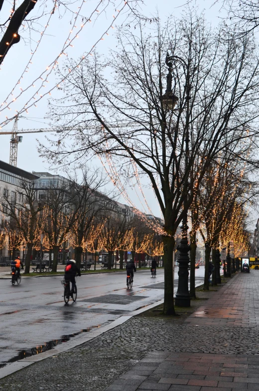 a group of people riding bikes down a street, by Jens Søndergaard, pexels contest winner, berlin secession, christmas lights, maple trees along street, panorama, construction