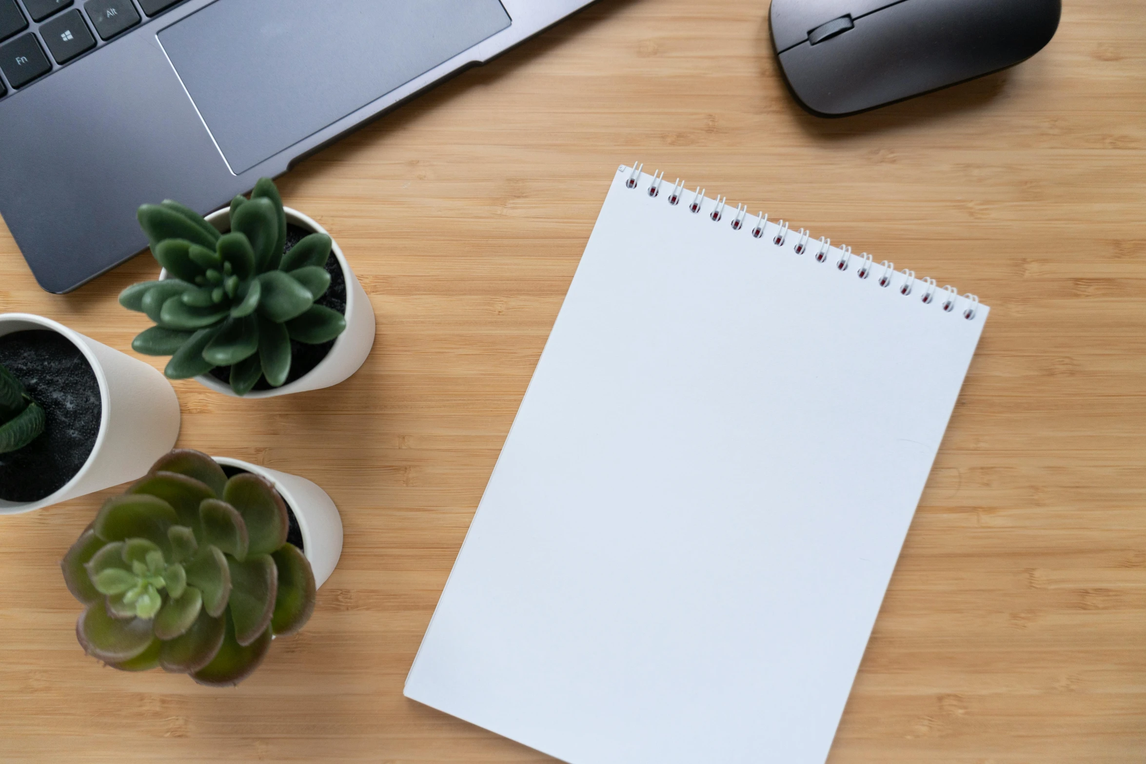 a laptop computer sitting on top of a wooden desk, white paper, 9 9 designs, background image, plants