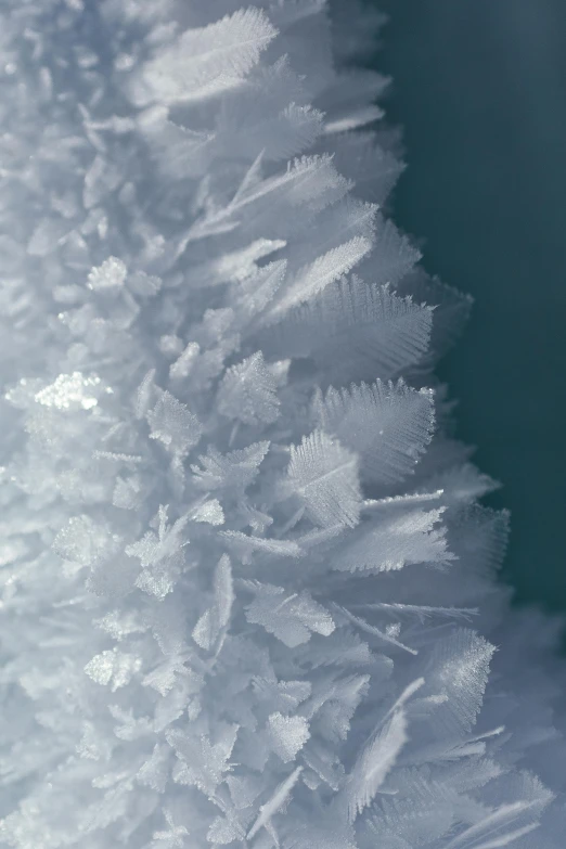 a close up of a frost covered tree, a macro photograph, unsplash, conceptual art, 8k resolution”, crystal column, ultrafine detail ”