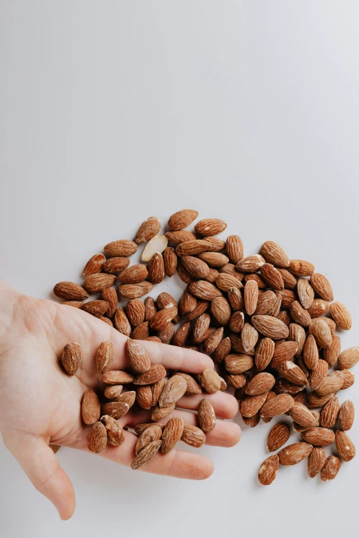 a person holding a handful of almonds, by Carey Morris, trending on pexels, on a white table, detailed product image, made of food, ultrawide image