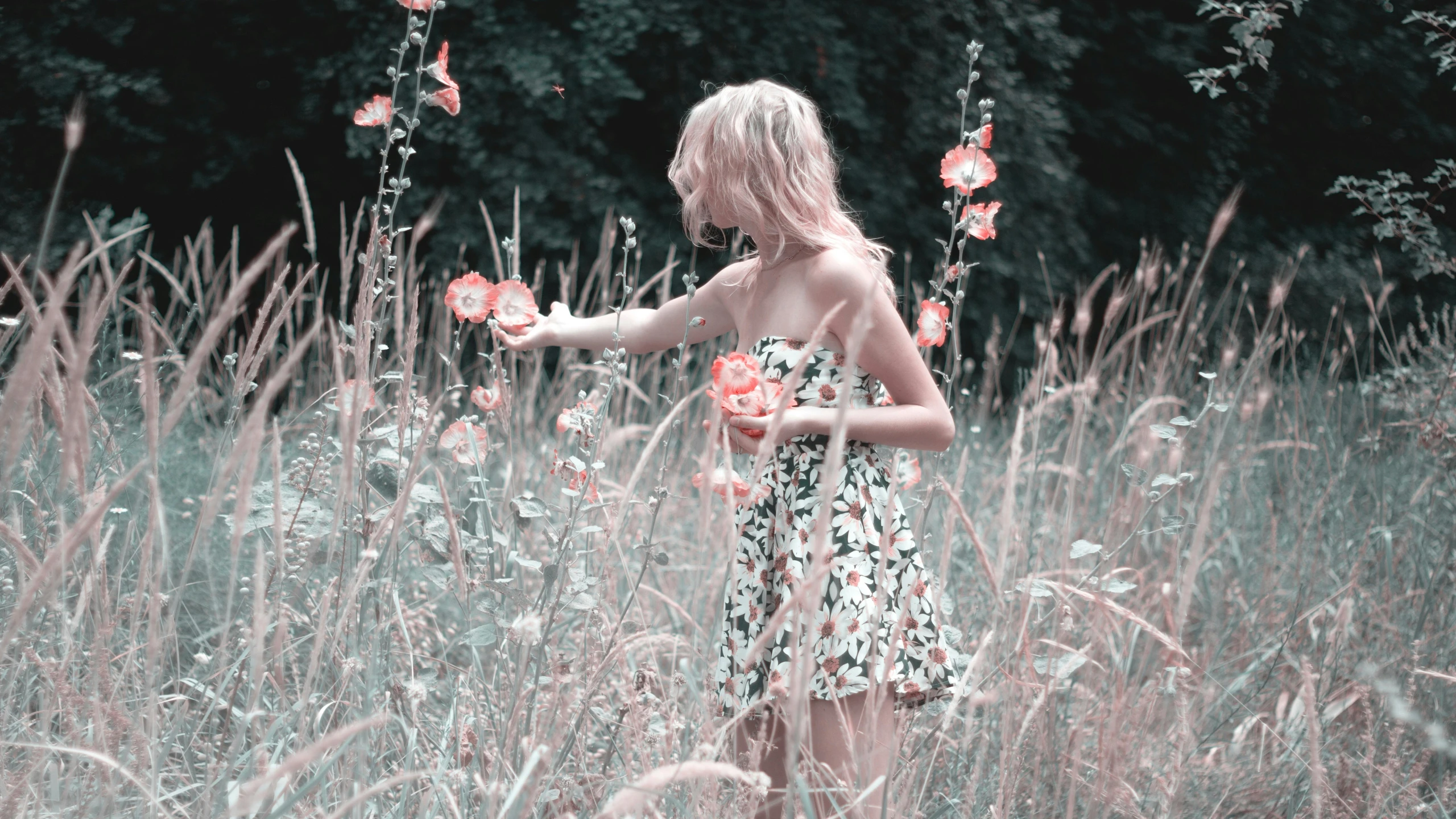 a little girl standing in a field of tall grass, a colorized photo, inspired by Elsa Bleda, pexels contest winner, romanticism, perky woman made of petals, young blonde woman, flirting, pink