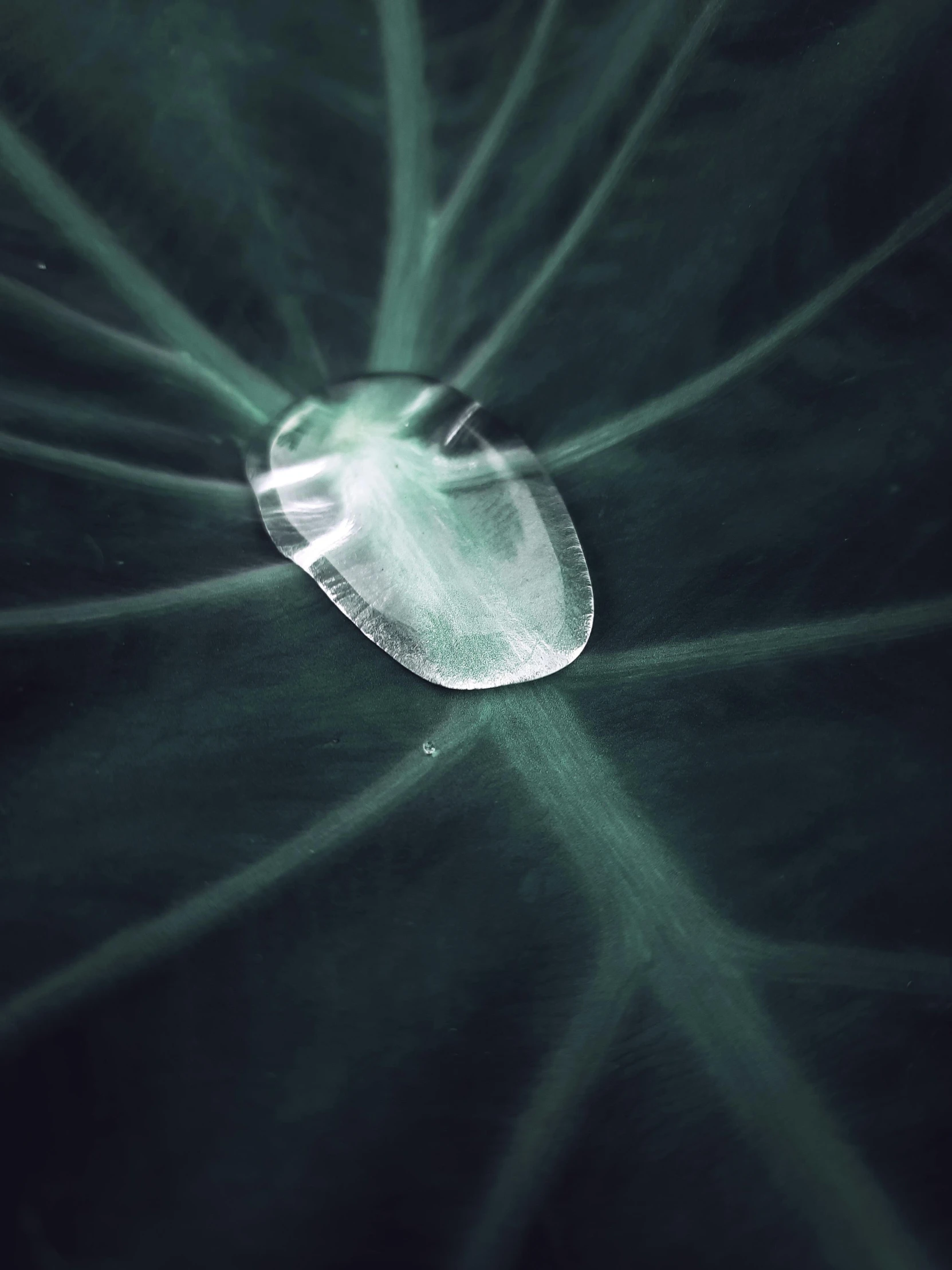 a drop of water sitting on top of a leaf, inspired by Lucio Fontana, unsplash contest winner, hurufiyya, translucent glowing jellyfish, mezzotint, in the astral plane ) ) ), of a ufo propulsion system