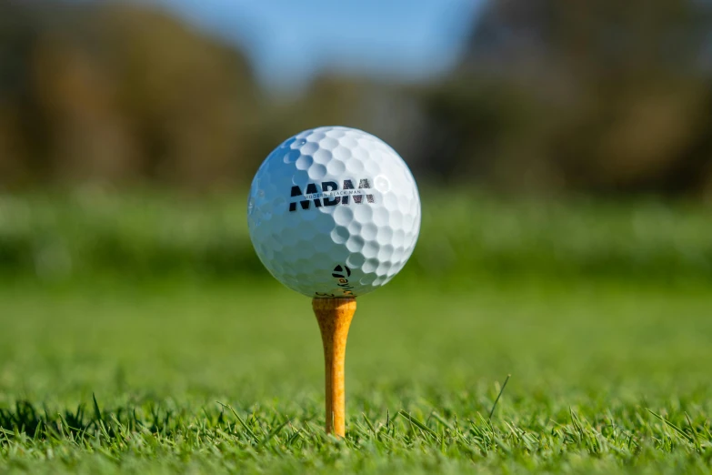 a golf ball sitting on top of a wooden tee, a portrait, by Reuben Nakian, unsplash, “ iron bark, avatar image, great quality ), striking a pose