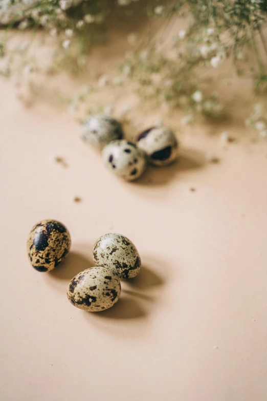 quails and baby's breath flowers on a table, trending on unsplash, baroque, eggs, thumbnail, seeds, - 9