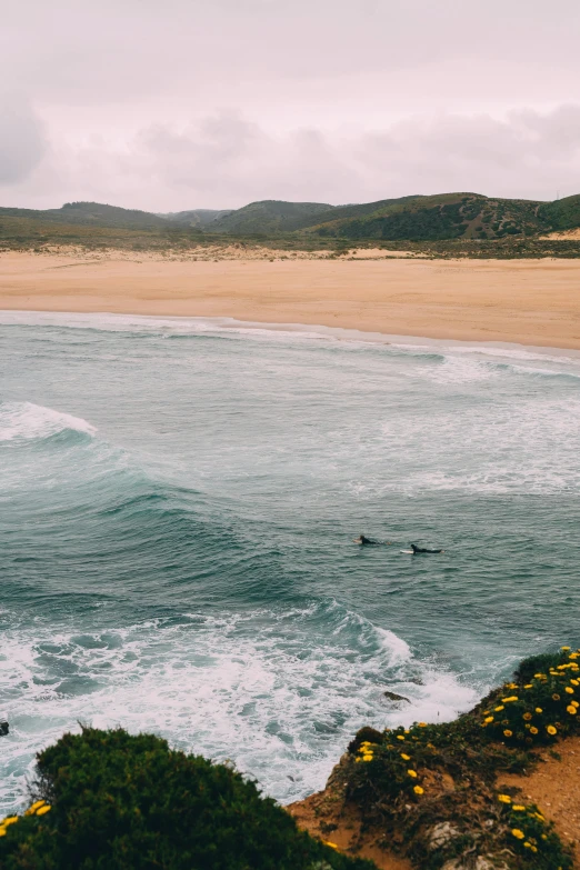 a man riding a surfboard on top of a sandy beach, flowing hills, dolphins swimming, lisbon, unsplash photography