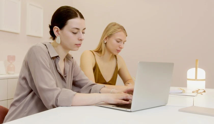 two women sitting at a table with a laptop, trending on pexels, on a pale background, pictured from the shoulders up, brown, upper body image