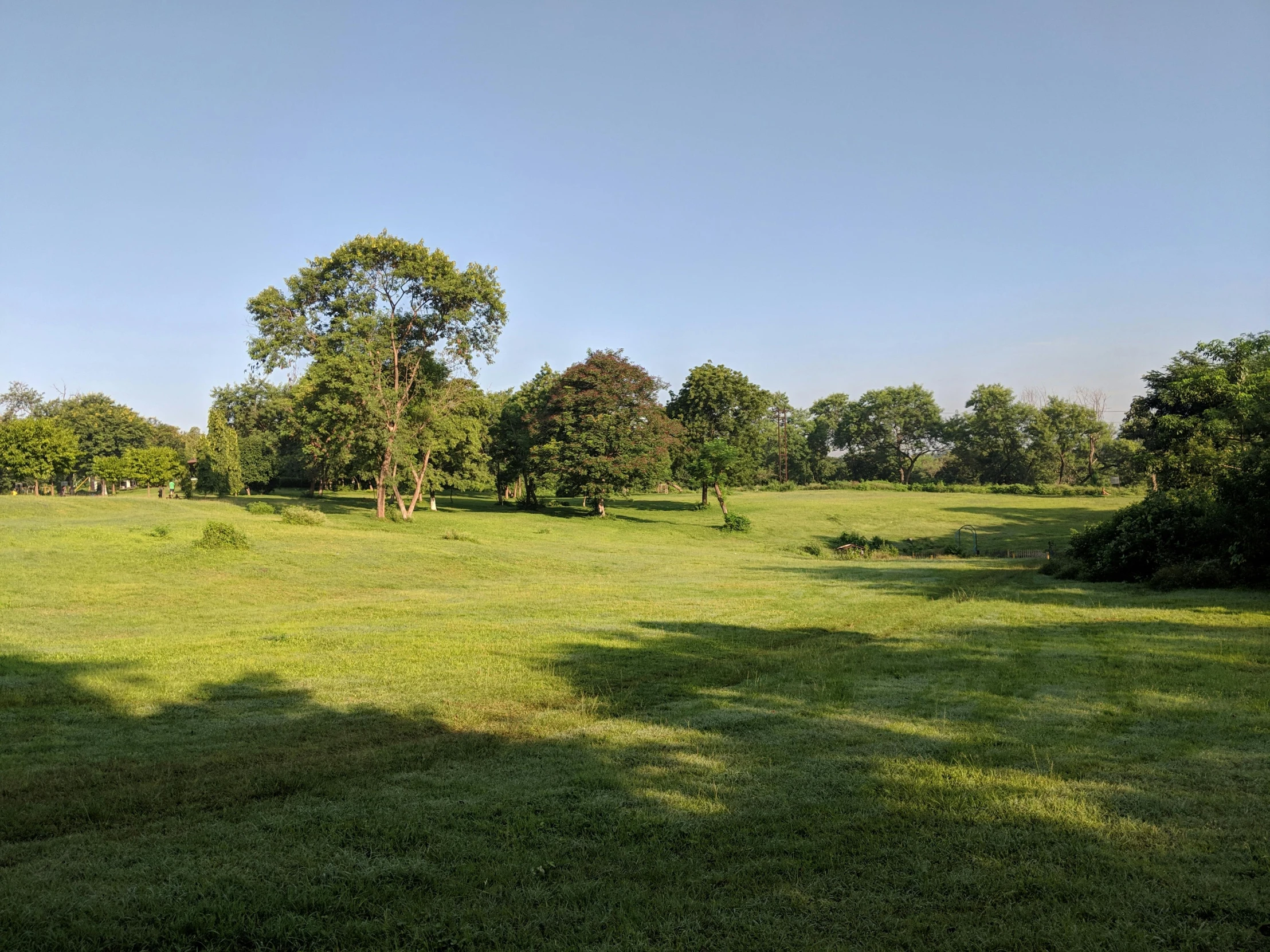 a grassy field with trees in the background, celestial gardens, afternoon lighting, craigville, 8 k photo