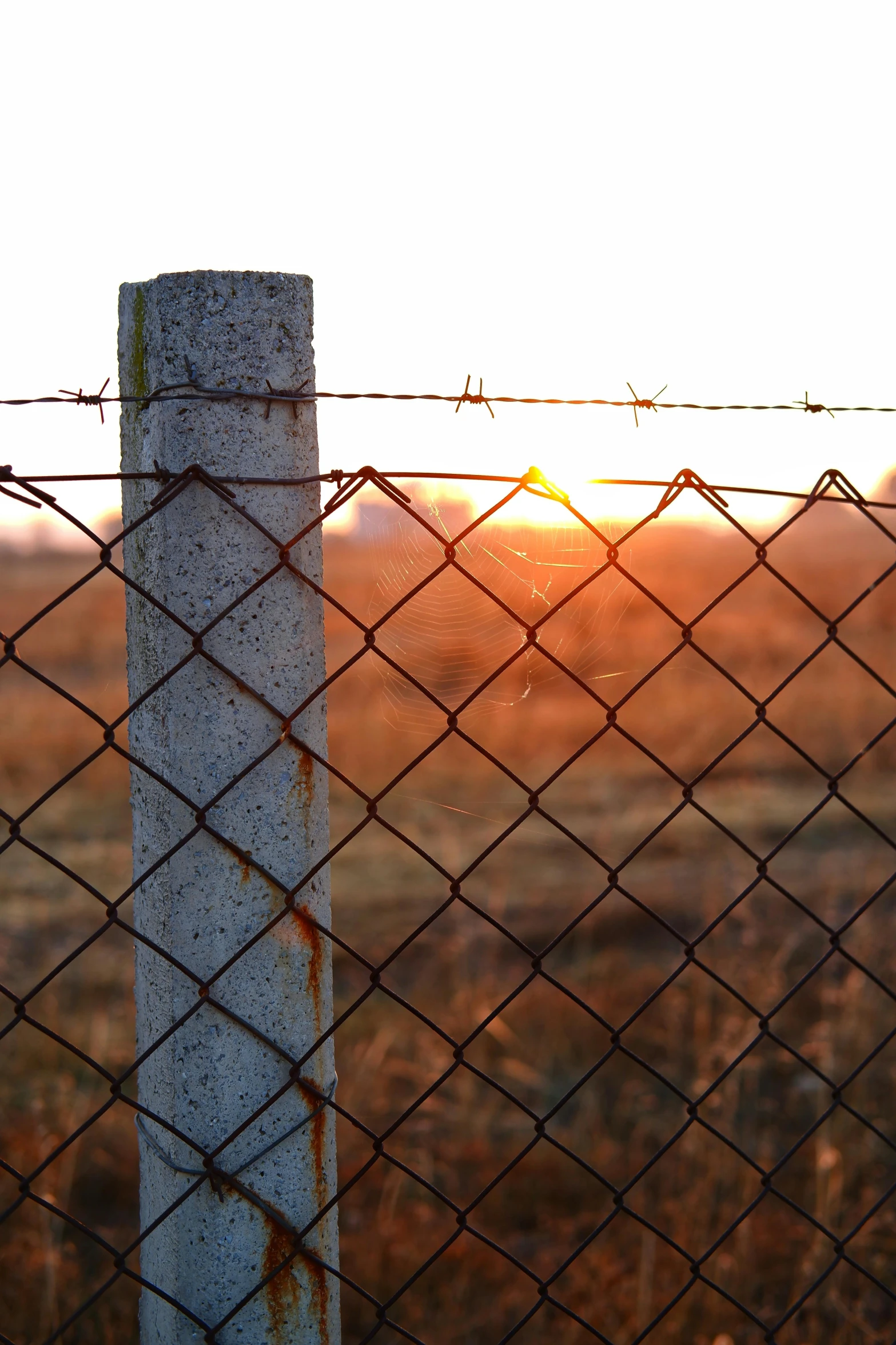 the sun is setting behind a barbed wire fence, a picture, by Jan Tengnagel, unsplash, ((rust)), mesh structure, grain”, tourist photo