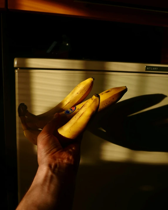 a person holding a bunch of bananas in front of a microwave, unsplash, hyperrealism, back light, 🐿🍸🍋, rainbow, slightly erotic