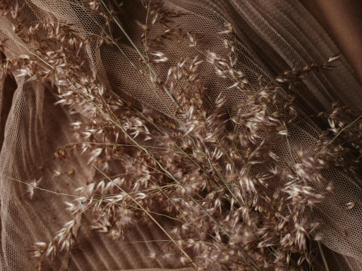 a close up of a bunch of flowers on a cloth, wearing a dress of gossamer gold, pink grass, brown tones, photography ultrafine detail