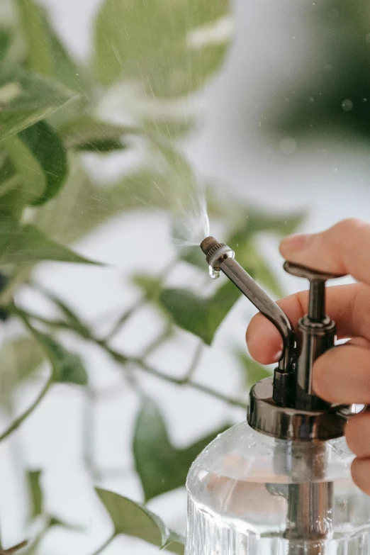 a close up of a person using a soap dispenser, unsplash, conceptual art, magical garden plant creatures, spray, clean background, high resolution photo
