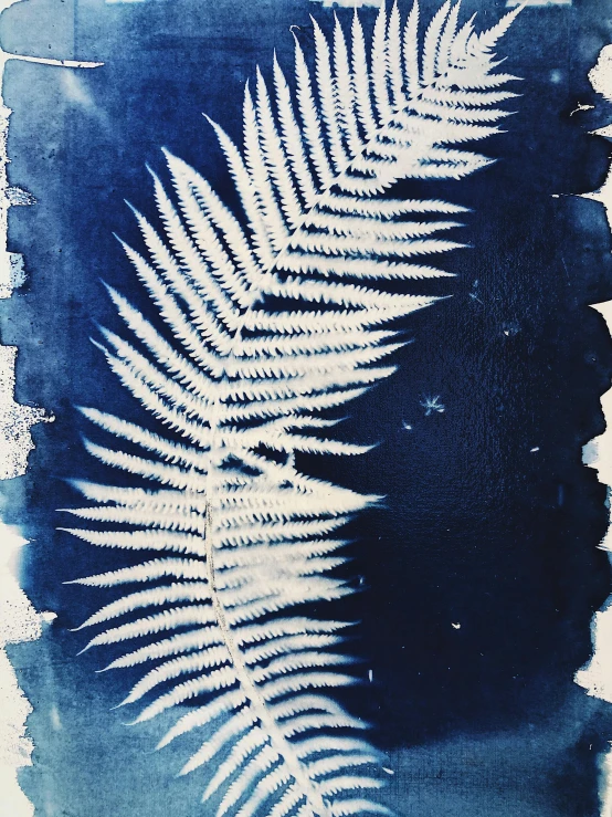 a blue and white painting of a fern leaf, a screenprint, unsplash, wet collodion, ((woodblock)), 2 0 2 0, midnight blue