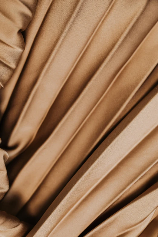 a black and white photo of a curtain, inspired by Josef Šíma, trending on unsplash, brown and gold color palette, satin, a pair of ribbed, high angle close up shot