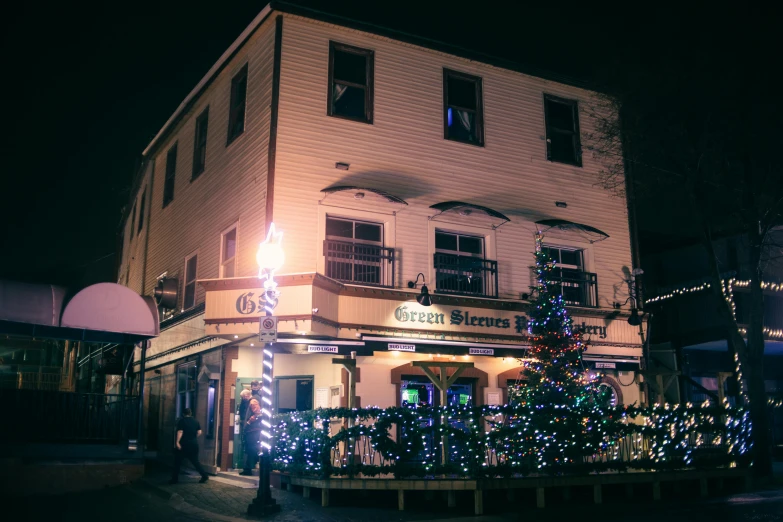 a building with a christmas tree in front of it, dimly lit cozy tavern, picton blue, photo of green river, profile image