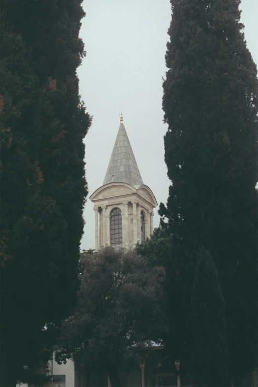 a clock tower surrounded by tall trees on a foggy day, renaissance, jerusalem, analogue photo low quality, ribbon chapel, istanbul