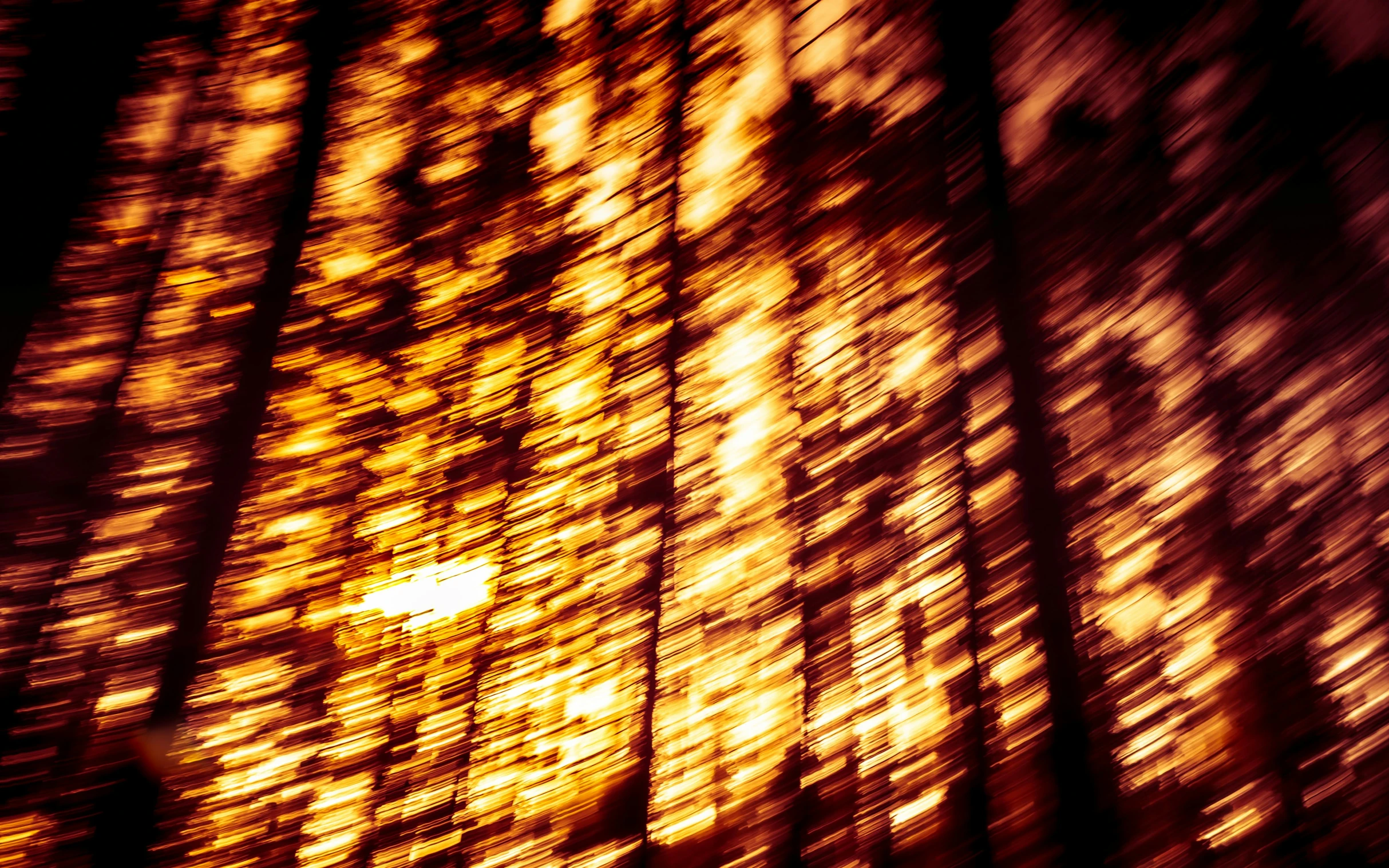 a blurry photo of a forest at night, by Jan Rustem, redscale photography, the fire is made of binary code, excitement, dappled afternoon sunlight