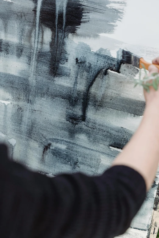 a person that is painting on a wall, a detailed painting, inspired by Cleve Gray, trending on unsplash, abstract art, botanicals, charcoal and silver color scheme, morning detail, emily rajtkowski