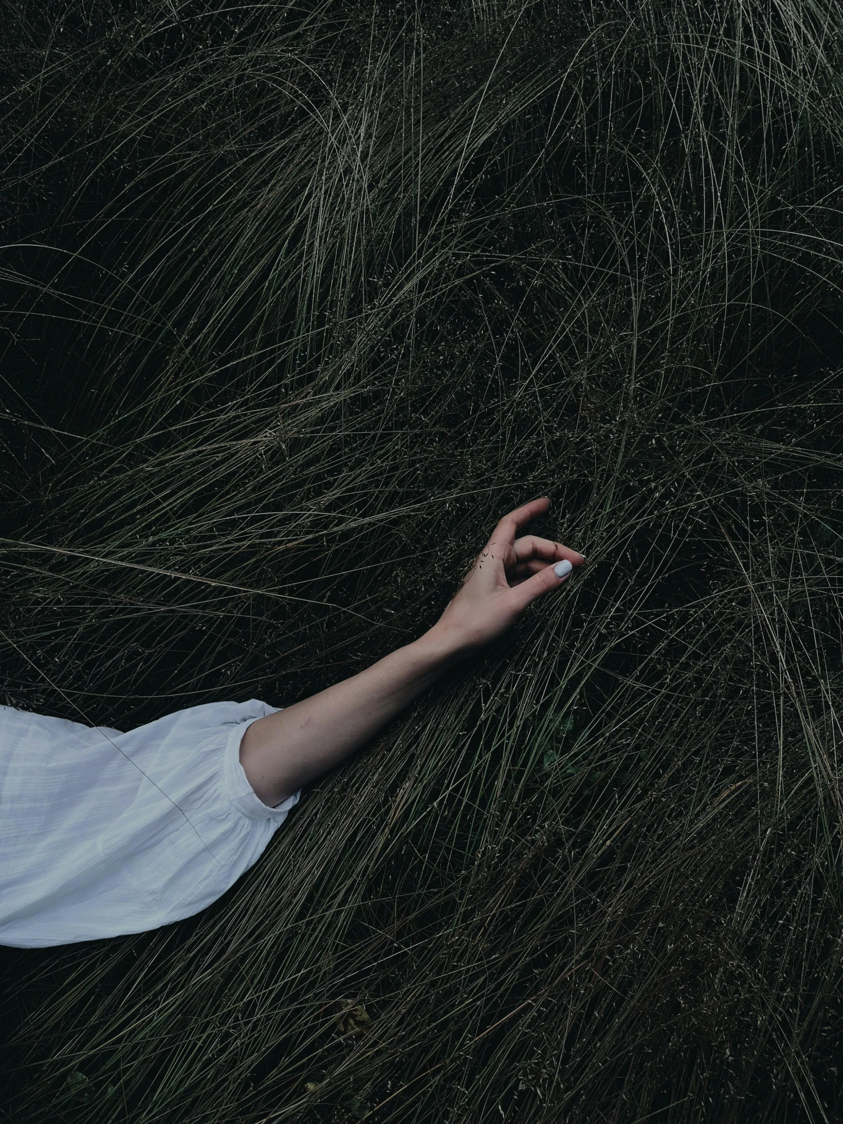 a woman laying in a field of tall grass, inspired by Elsa Bleda, unsplash contest winner, magic realism, sleek hands, dark eerie photograph, ignant, white sleeves