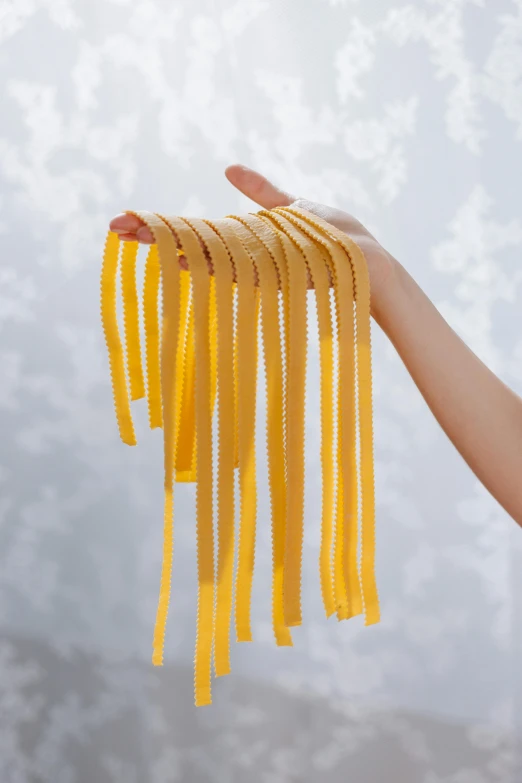 a person holding a bunch of pasta noodles, by Nicolette Macnamara, wavy lingeries, lined up horizontally, neck zoomed in, webbing