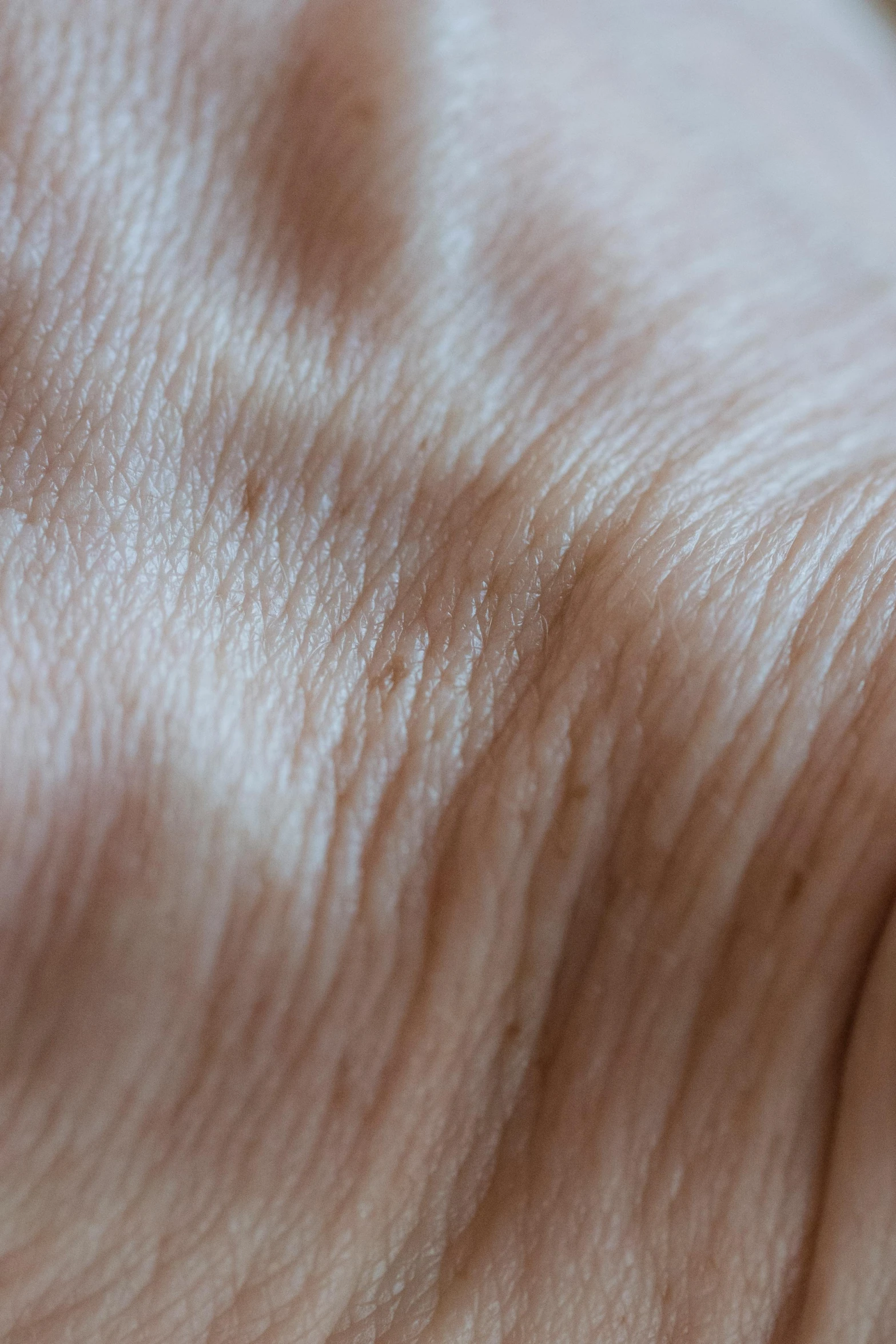 a close up of a person's hand holding a toothbrush, a macro photograph, by David Simpson, wrinkled muscles skin, black fine lines on warm brown, folds of belly flab, 3d printed line texture