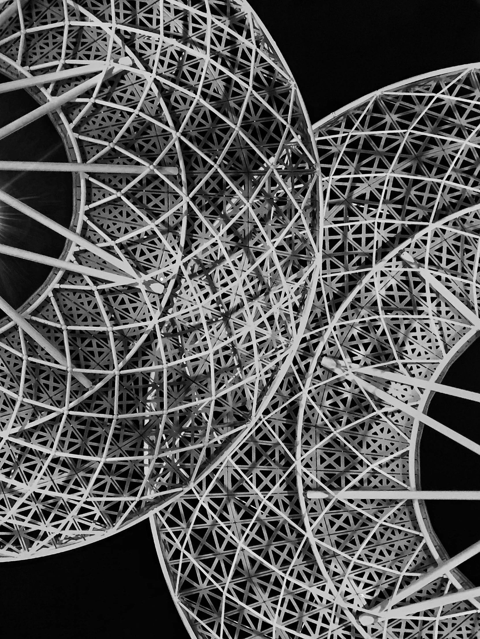 a black and white photo of a circular structure, an abstract sculpture, inspired by Vassily Maximov, generative art, radiolaria, intricate detailed digital art, circular towers, math art