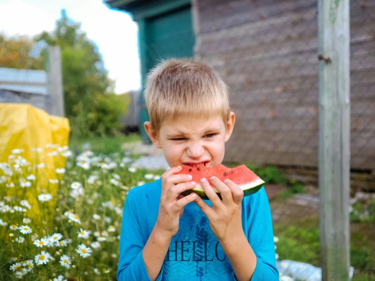 a young boy eating a piece of watermelon, a picture, by Julia Pishtar, pexels contest winner, vitalik buterin, gardening, avatar image, a handsome