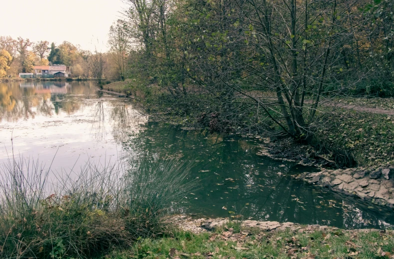 a body of water surrounded by trees and grass, inspired by Elsa Bleda, unsplash, les nabis, fan favorite, northern france, stagnant water, low quality photo