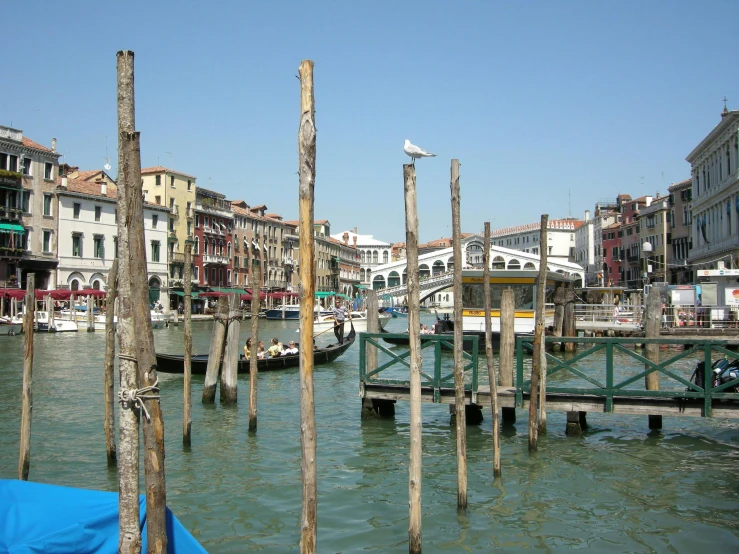 a group of wooden poles sticking out of the water, inspired by Quirizio di Giovanni da Murano, slide show, square, brown