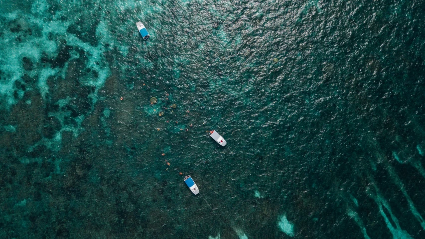 a group of boats floating on top of a body of water, by Adam Marczyński, pexels contest winner, coral sea bottom, thumbnail, flatlay, 🦩🪐🐞👩🏻🦳