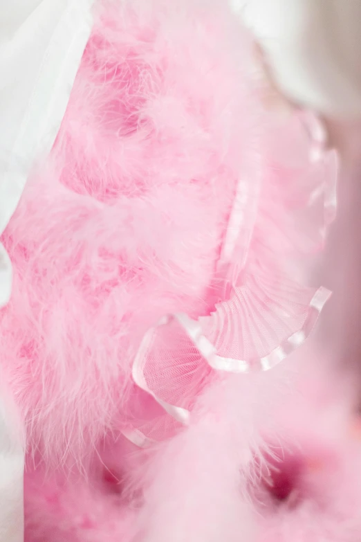 a couple of teddy bears sitting next to each other, wearing pink romantic tutu, closeup of arms, feather-adorned, detailed product shot