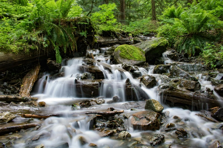 a stream running through a lush green forest, by Alexander Brook, pexels contest winner, hurufiyya, 2 5 6 x 2 5 6 pixels, falling water, today\'s featured photograph 4k, waterwheels