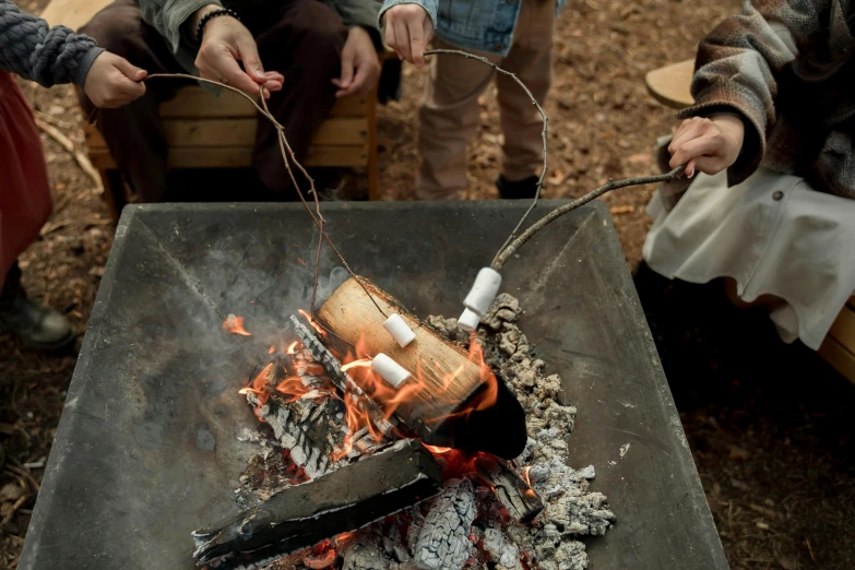 a group of people roasting marshmallows over an open fire, pexels contest winner, hurufiyya, “ iron bark, trending on dezeen, crisp detail, feeds on everything