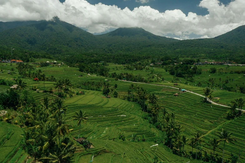 a lush green field with mountains in the background, sumatraism, avatar image, aerial view, background image, festivals