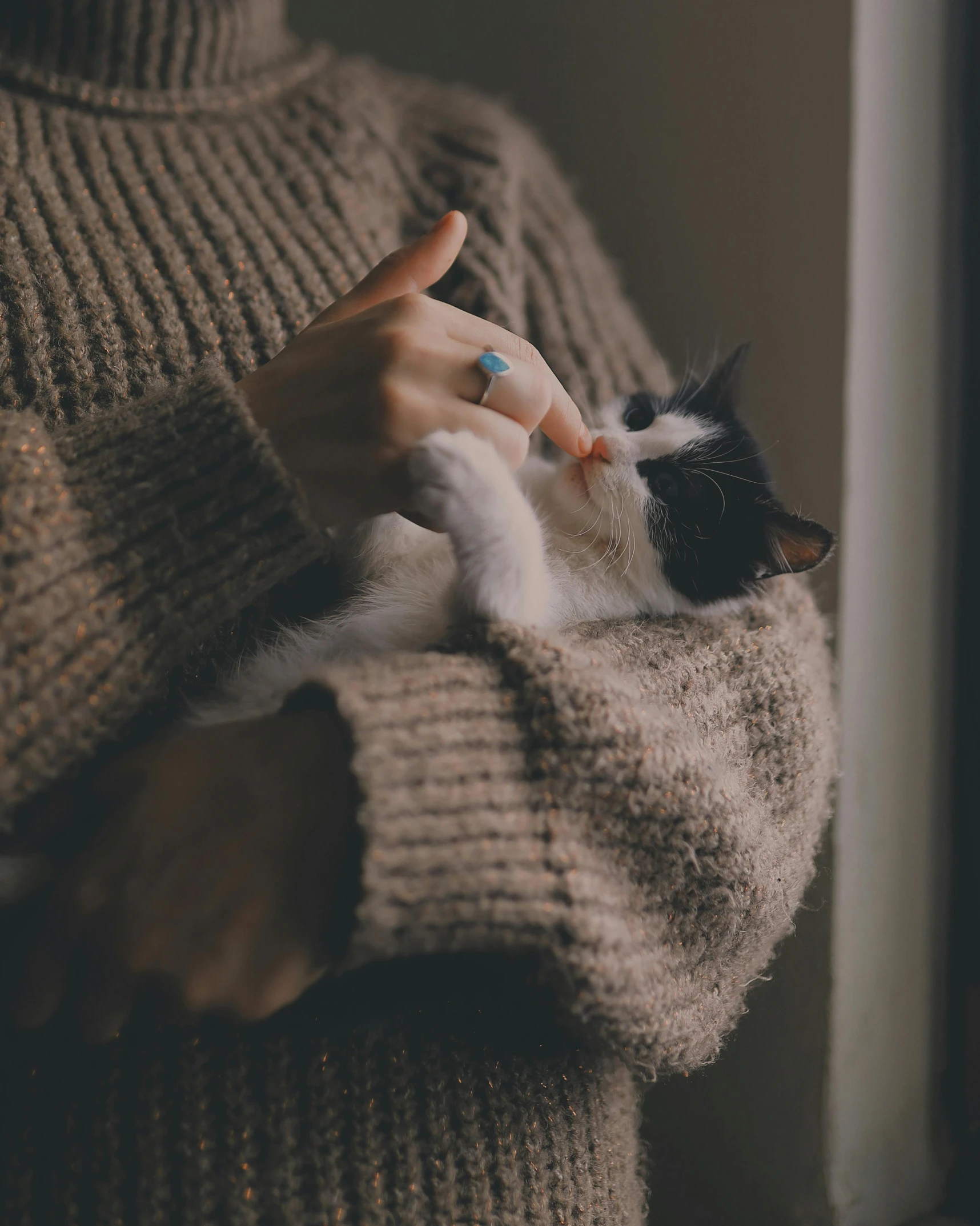 a woman in a sweater holding a black and white cat, trending on pexels, minimalism, gif, miniature kitten, with index finger, dreamy aesthetic