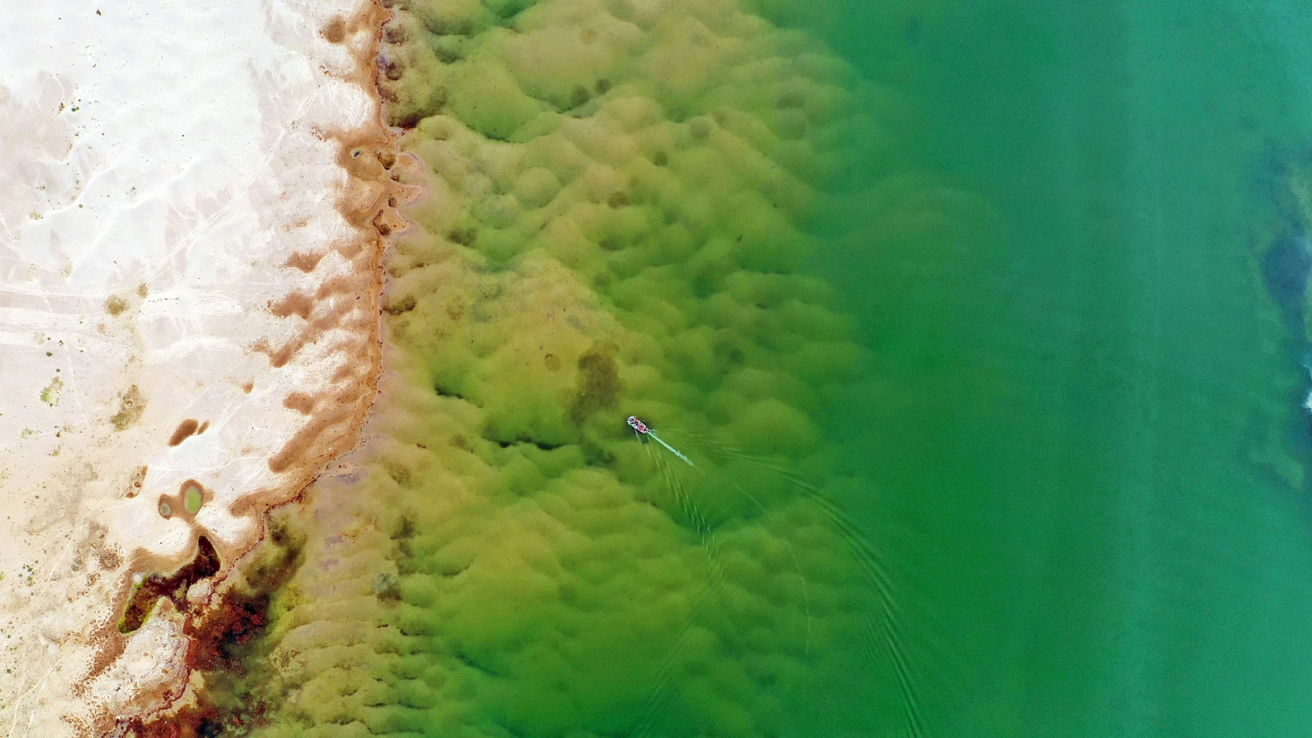 a couple of boats floating on top of a body of water, sandy green, down there, award winning shot, fishing pole