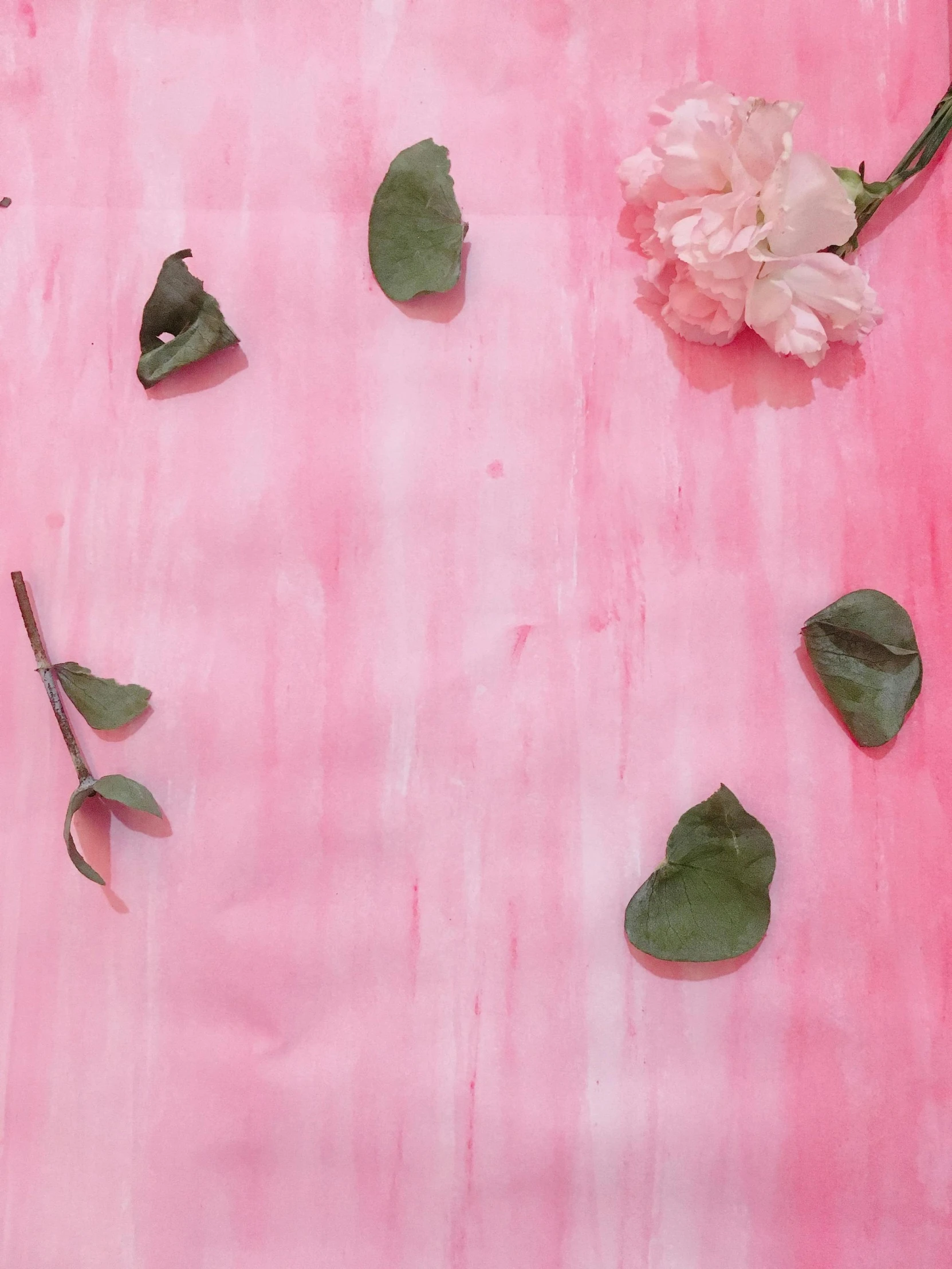 a painting of pink flowers and leaves on a pink background, inspired by Julian Schnabel, trending on unsplash, papers on table, tie-dye, detail shot, still life photo of a backdrop