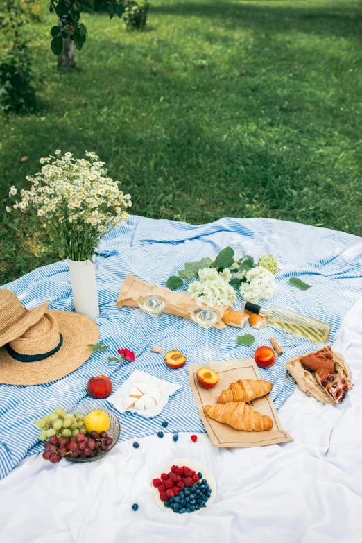 a blue and white blanket sitting on top of a lush green field, fruit and flowers, food, daytime, wine