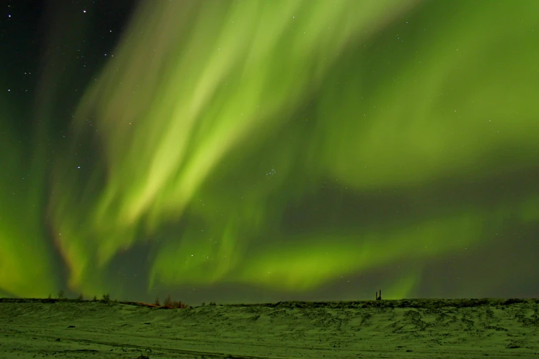 the aurora bore lights up the night sky, pexels contest winner, hurufiyya, panels, green glowing runes, grey, prairie