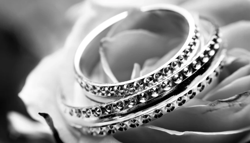 a couple of rings sitting on top of a rose, a black and white photo, by Caroline Mytinger, pixabay, bangles, swarovski crystals, profile image, stainless steel