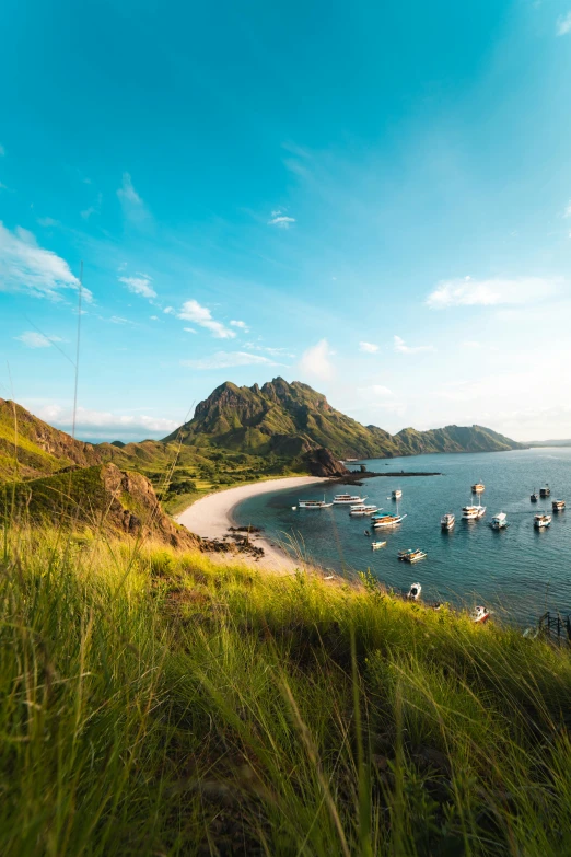 a group of boats floating on top of a body of water, sumatraism, grassy hills, overlooking the beach, sun lit, square