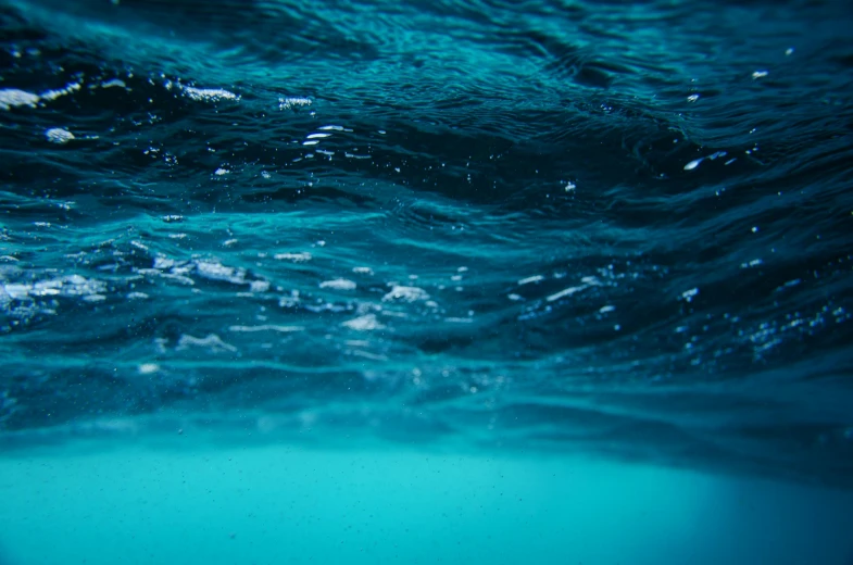 a close up of the surface of a body of water, pexels, submerged dramatic, blueish, deep depth of focus, instagram photo